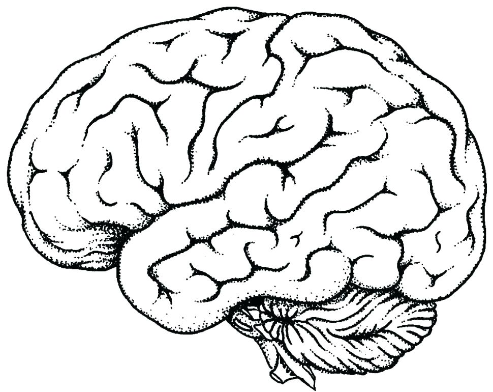 970x770 Lovely Human Heart Coloring Pages Free Download Real Page Image