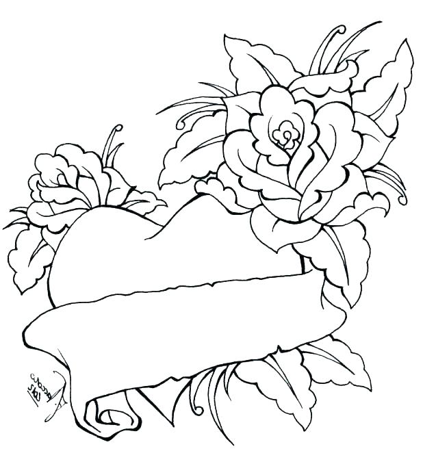 618x678 Anatomy And Physiology Coloring Pages Anatomy Coloring Pages Free