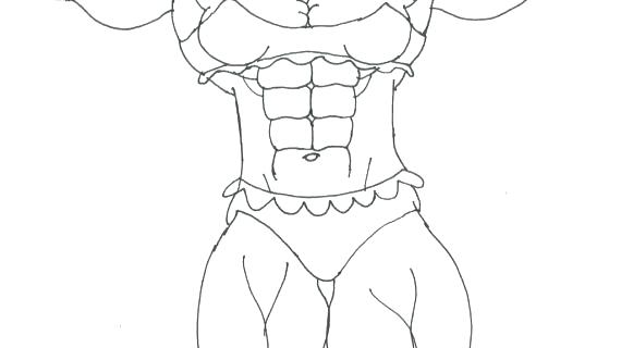570x320 Anatomy And Physiology Coloring Workbook Answers Human Muscles