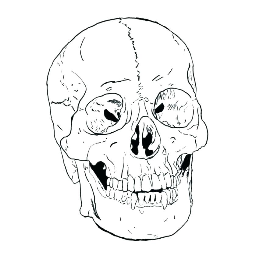 863x863 Skull Coloring Pages Anatomy Coloring Pages Free Printable Skull