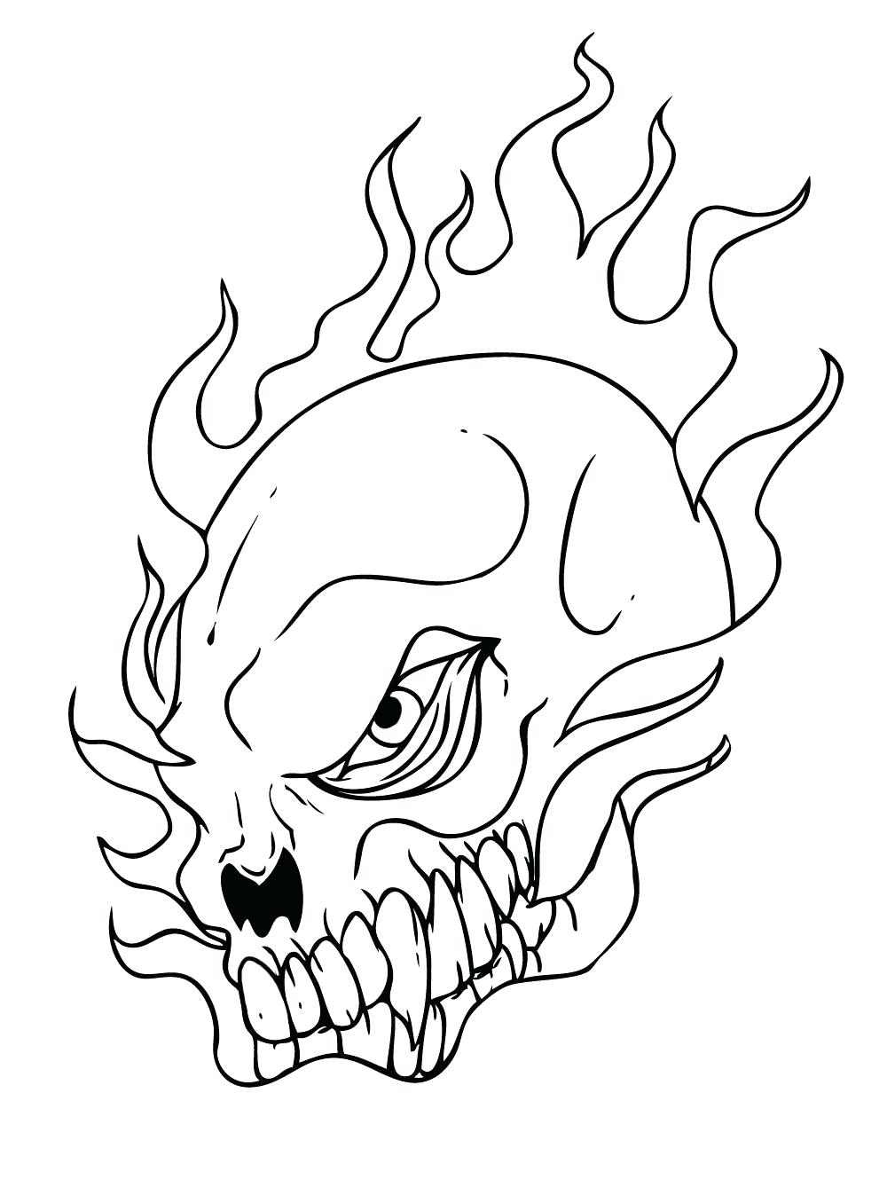 1000x1356 Coloring Page ~ Anatomy And Physiology Coloring Pages Free Skull