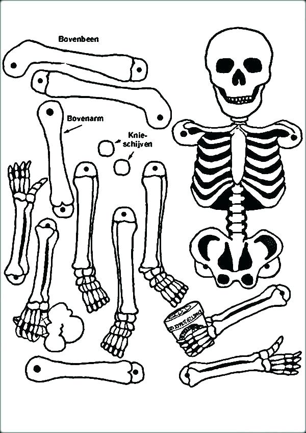 600x848 Coloring Page Of The Brain Brain Coloring Page Brain Anatomy