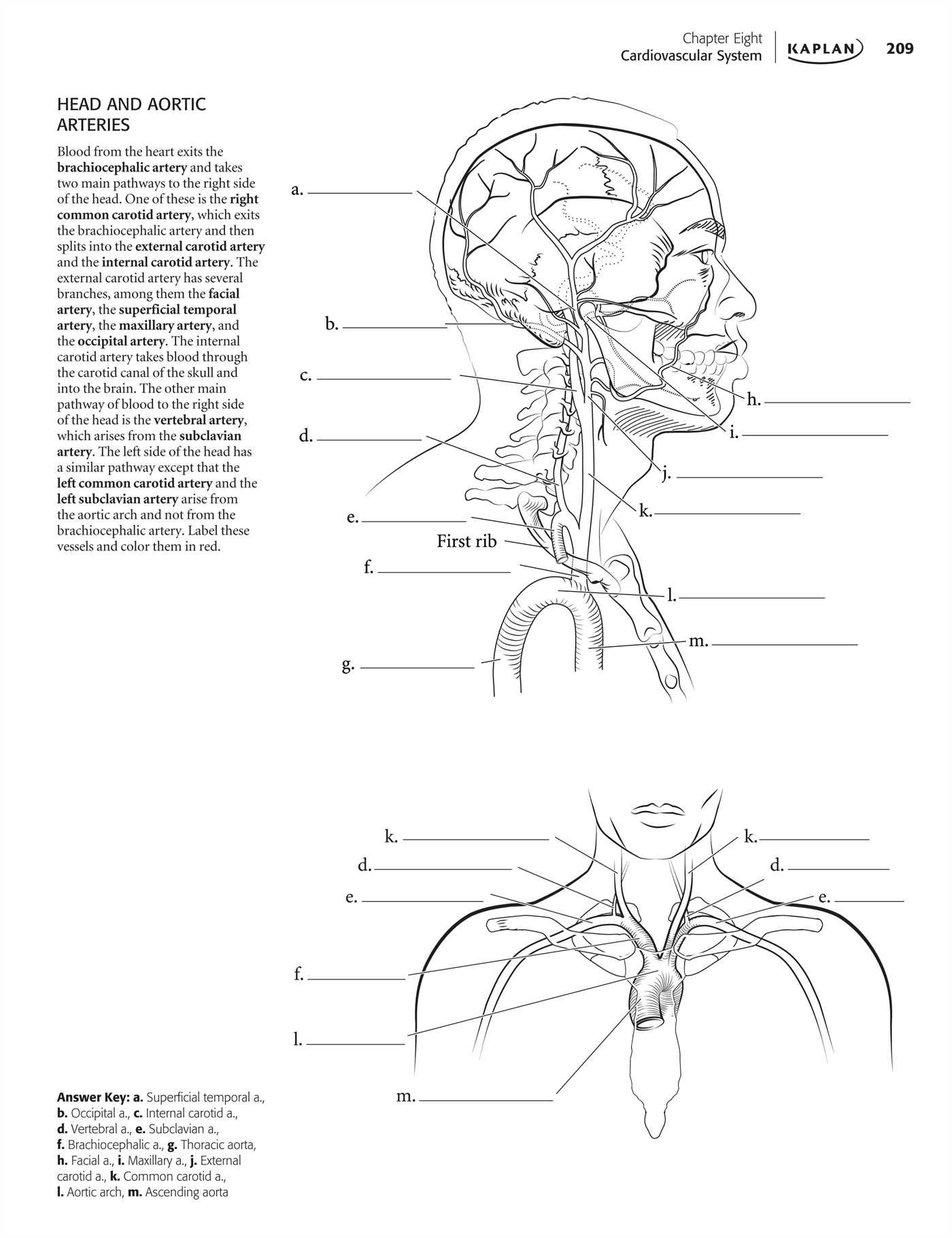 1400x1820 Stunning Design Kaplan Anatomy Coloring Book Amazon Com