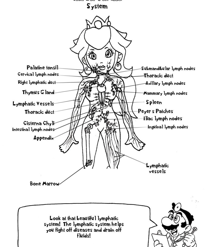 900x1050 Skull Bones Anatomy Coloring Pages Free Printable For Kids Body