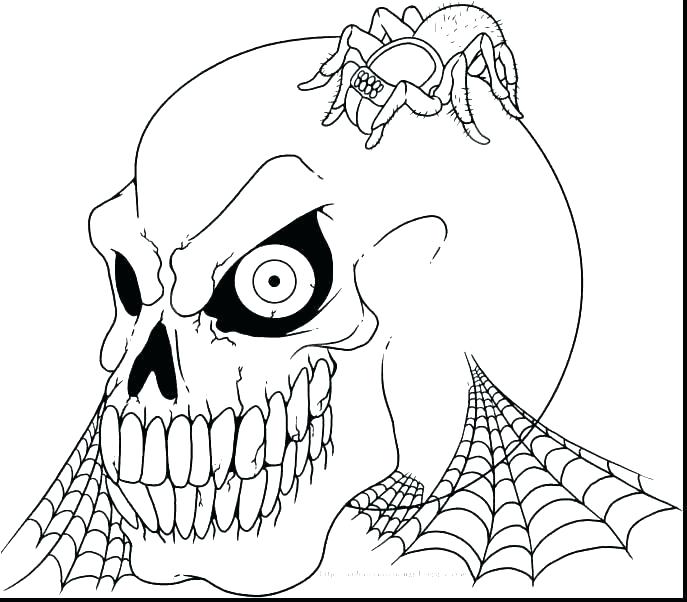 687x602 Skull Coloring Pages Anatomy Skull Coloring Pages Anatomy Free