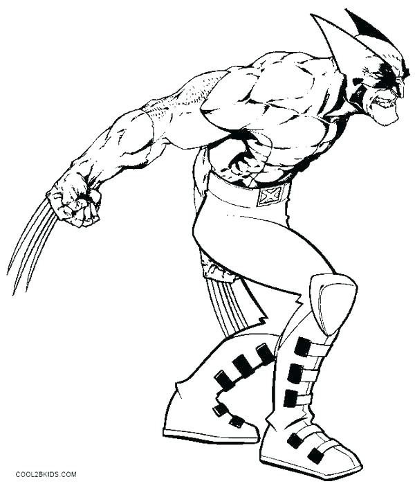 600x702 Muscle Coloring Pages Human Muscles Coloring Anatomy Coloring
