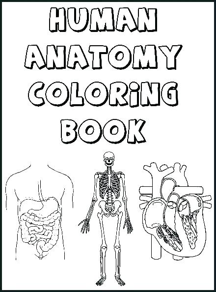 440x594 Anatomy Coloring Pages Anatomy Coloring Pages Ear Anatomy Coloring