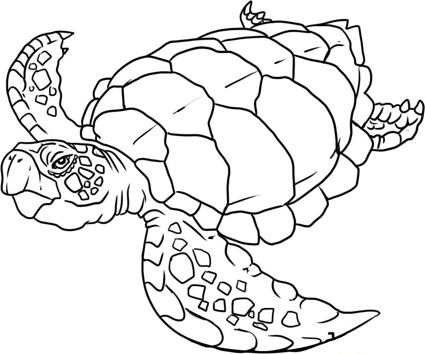 858x714 Andy Warhol Coloring Pages