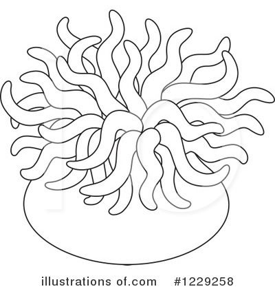 400x420 Image Result For Sea Anemone Color Sheet Ocean Waters Unit