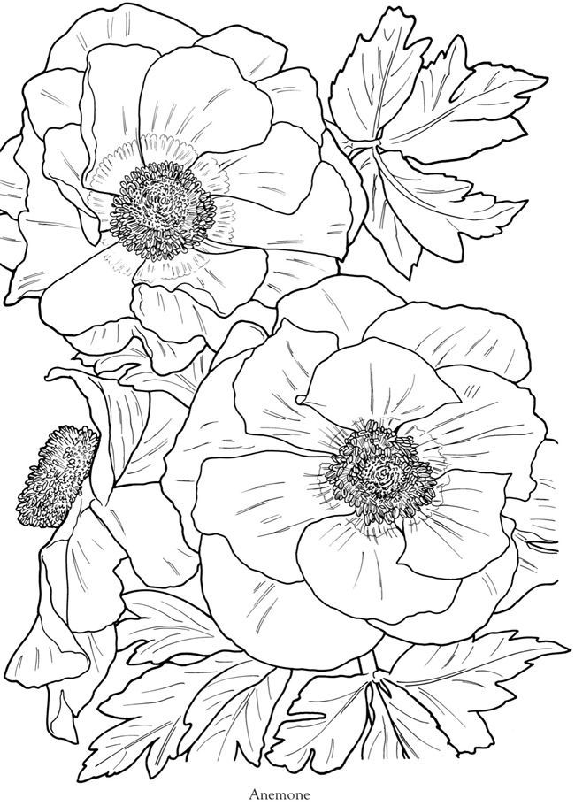 650x911 Pin By On Embroidery, Draw