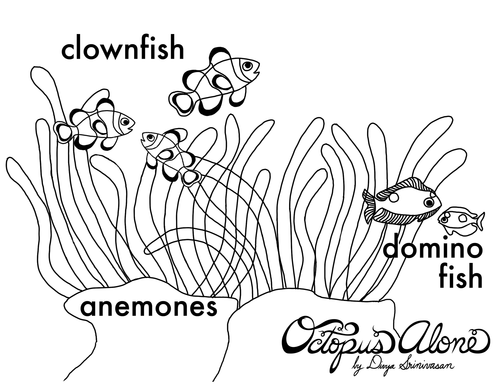 1650x1275 Anemone Coloring Pages