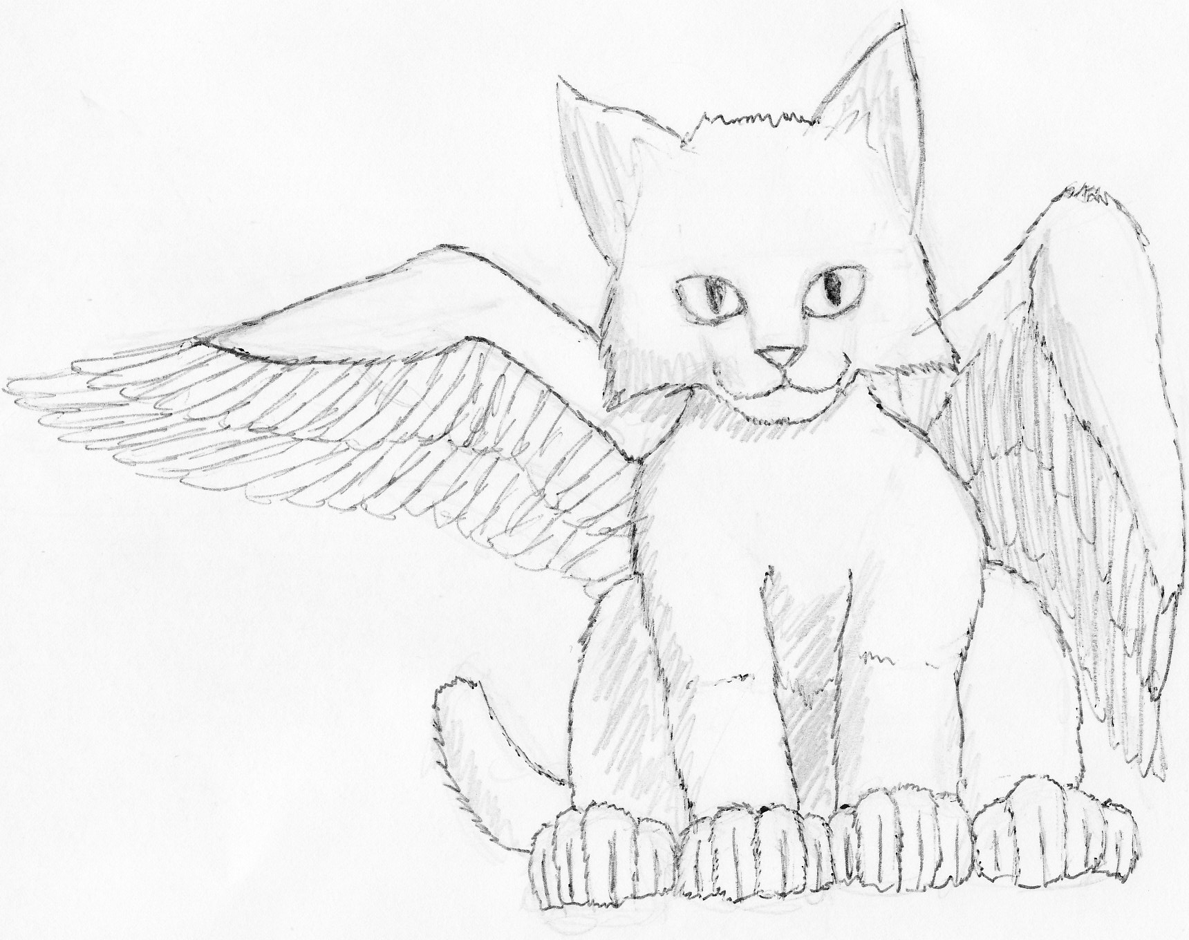 1720x1360 Angel Kitten Drawing