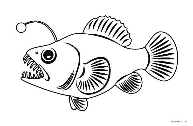 800x524 Fish Coloring Page Angler Fish Coloring Page Angel Fish Coloring