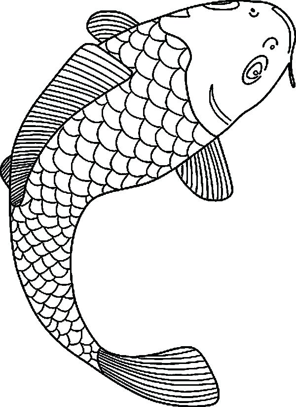 600x823 Fish Coloring Pages Fish Drawing Fish Coloring Pages Drawing Fish