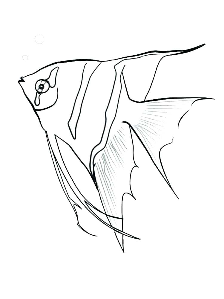 750x1000 Fishing Color Pages Coloring Page Of A Fish Fish Color Pages Angel