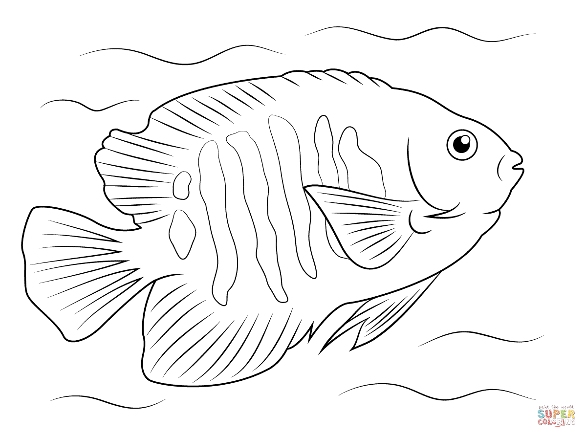 1199x894 Flame Angelfish Super Coloring Images Angelfish