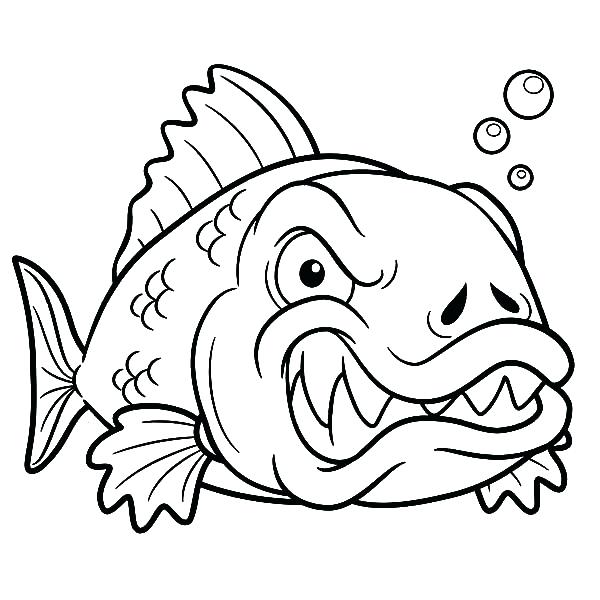 600x600 Angel Fish Coloring Page