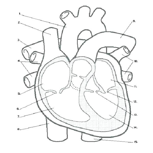 600x600 Heart Coloring Pages With Wings Coloring Pages Heart Human Heart