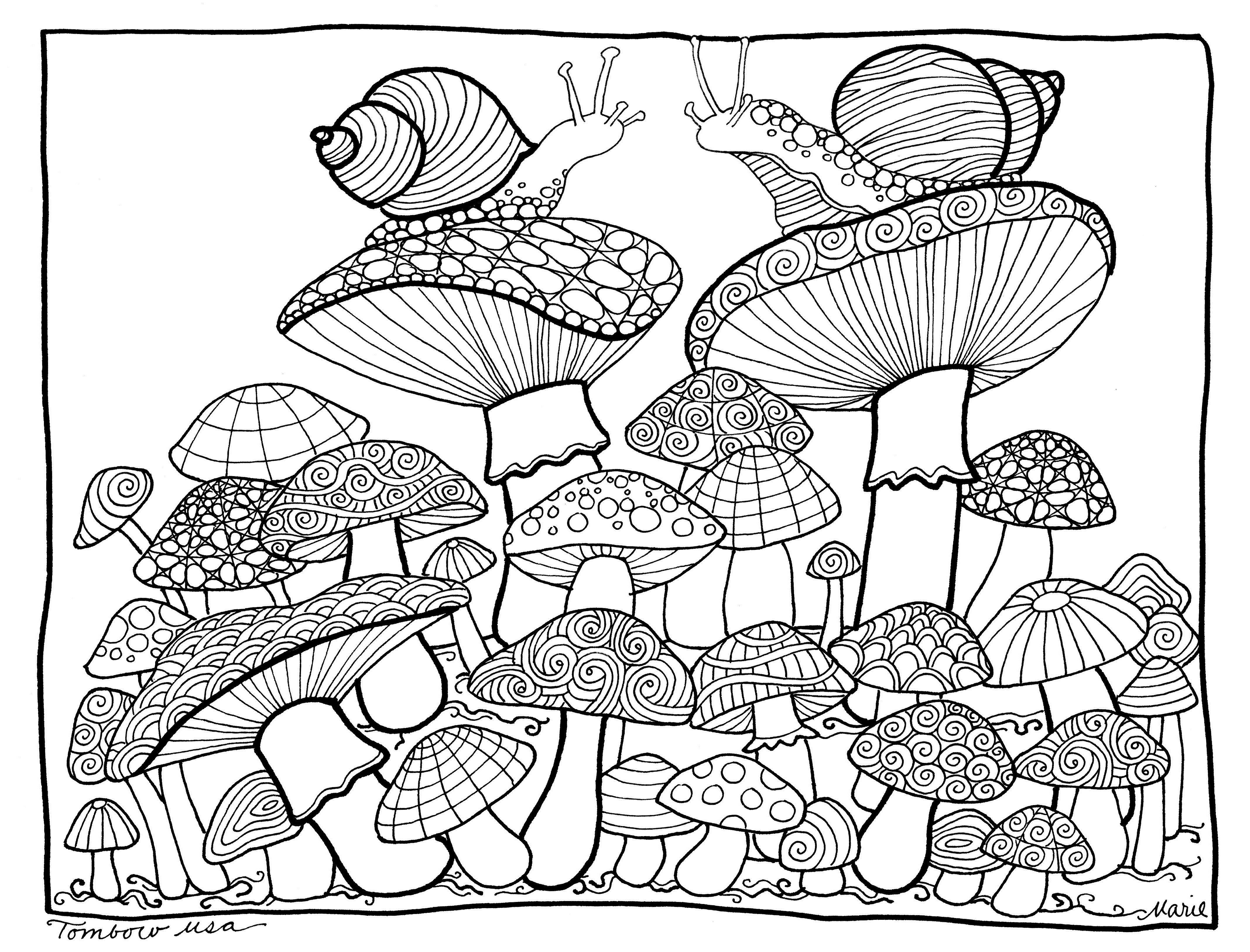 4270x3253 Fresh Coloring Mushrooms Coloring Page By Tombow Usa Paper