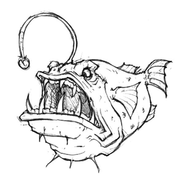 600x617 Angry Angler Fish Coloring Pages Angry Angler Fish Coloring Pages