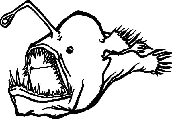600x414 Creepy Angler Fish Monster Fish Coloring Pages Color Luna
