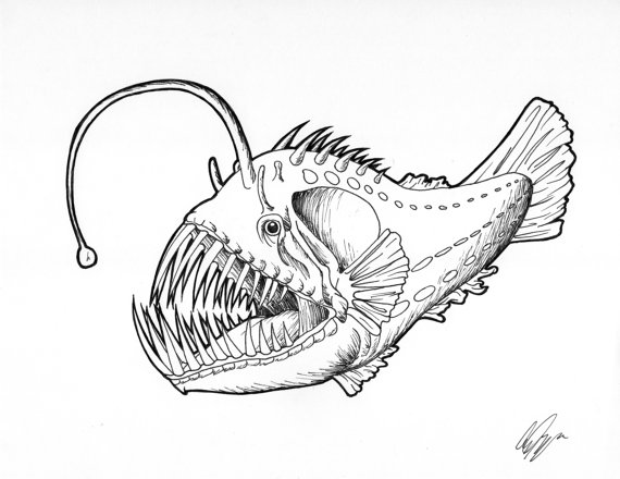 570x440 Angler Fish