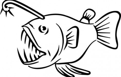 470x300 Lantern Fish Drawing Angler Coloring Pages Oceans Sketch Lantern