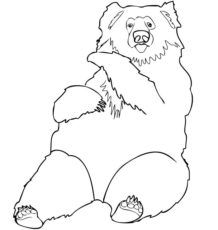 Angry Bear Coloring Page