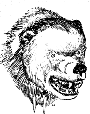 315x400 Free Bear Coloring Page Clipart, 1 Page Of Free To Use Images