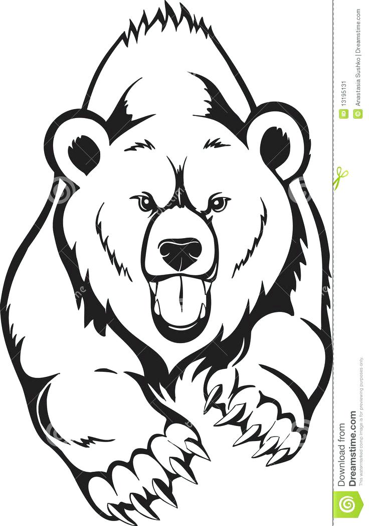 736x1047 Grizzly Bear Coloring Pages As Stunning Angry Grizzly Bear