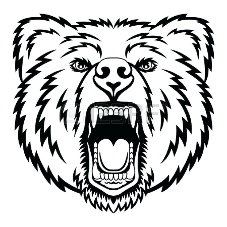 736x736 Grizzly Bear Coloring Pages Drawn Grizzly Bear Mad Bear 3 Free