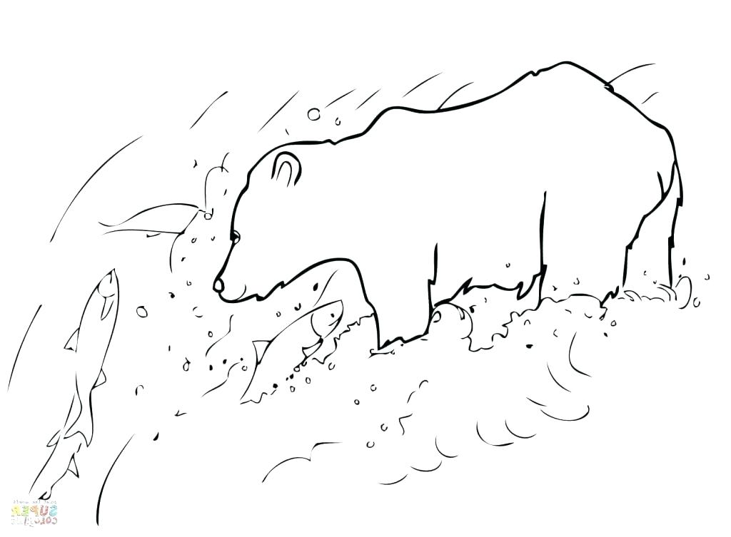 1024x753 Grizzly Bear Coloring Pages Grizzly Bear Coloring Page Grizzly