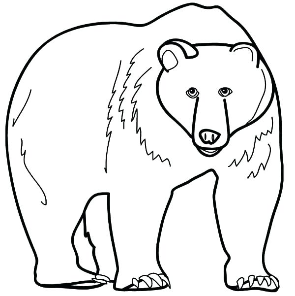 600x601 Grizzly Bear Pictures To Color Angry Grizzly Bear Coloring Pages