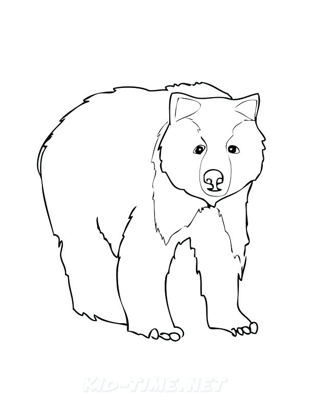 612x792 Grizzly Bear Coloring Page