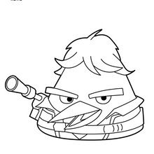 220x220 Angry Birds Star Wars Coloring Pages