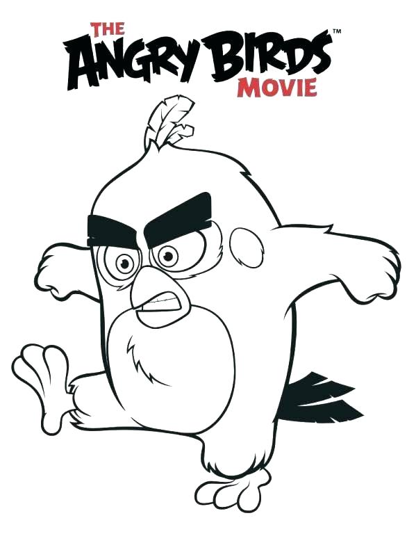 586x768 Angry Bird Coloring Pages Free Free Printable Bird Coloring Pages