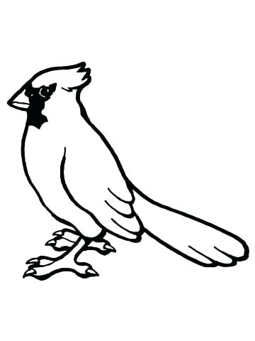 360x480 Birds Coloring Pages For Kids Angry Birds Coloring Pages Red Bird