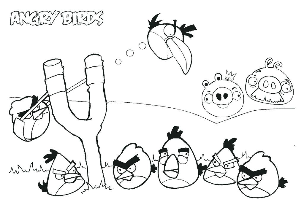1024x681 Coloring Pages Flowers Hard Angry Birds Colouring Games Online