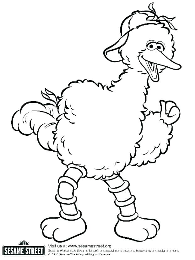 621x830 Bird Printable Best Collection Coloring Pages Angry Bird Printable