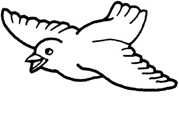 600x424 Bird Printable Coloring Pages Bird Coloring Pages Bird Coloring