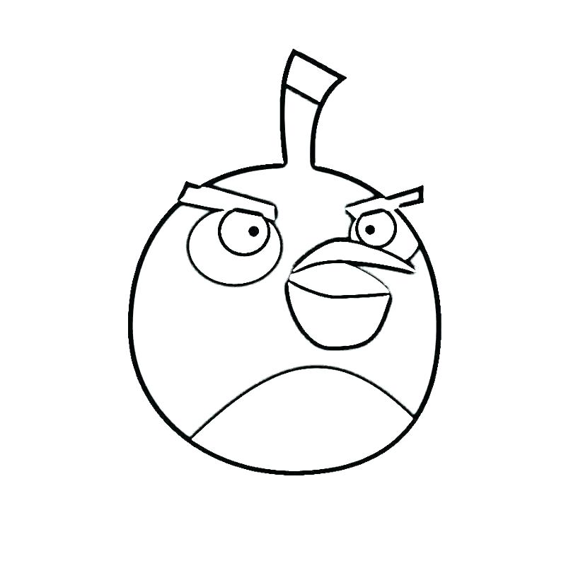 800x800 Angry Bird Pages Angry Bird Coloring Pages Angry Birds Colouring