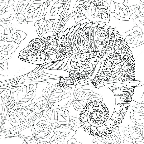 570x570 Coloring Pages Of Animals For Adults Realistic Animal Coloring