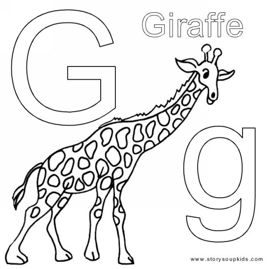 550x550 Animal Alphabet