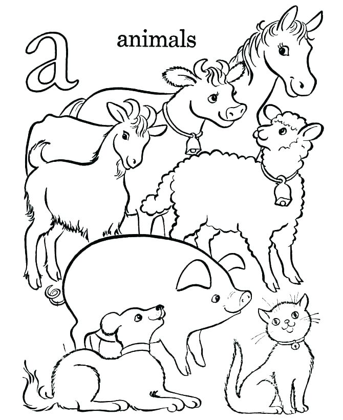 670x820 Alphabet Animals Coloring Pages Animal Coloring Pages Free Frog