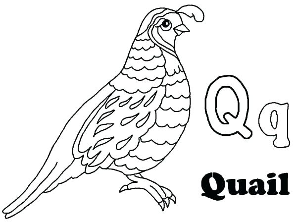 600x450 Alphabet Coloring Pages Letter Z Kids Coloring Alphabet Coloring