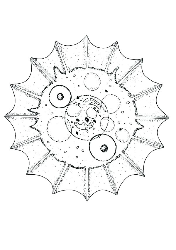 600x849 Animal Cell Worksheet Labeling Animal Cell Coloring Animal Cell