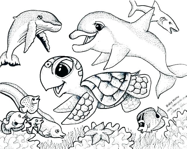 640x509 Plant Animal Cell Coloring Worksheets Plants Structure