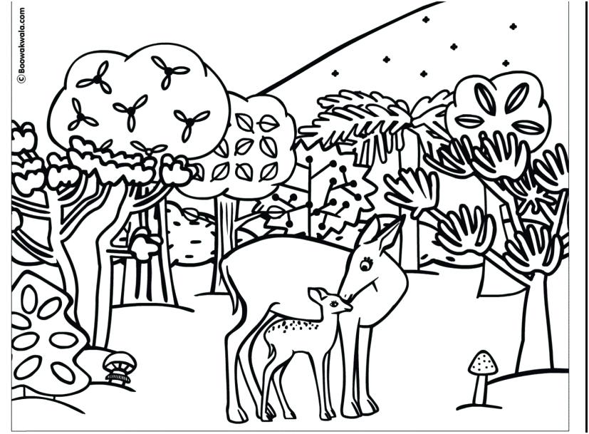 827x609 Forest Animals Coloring Pages Incredible Forest Animals Coloring