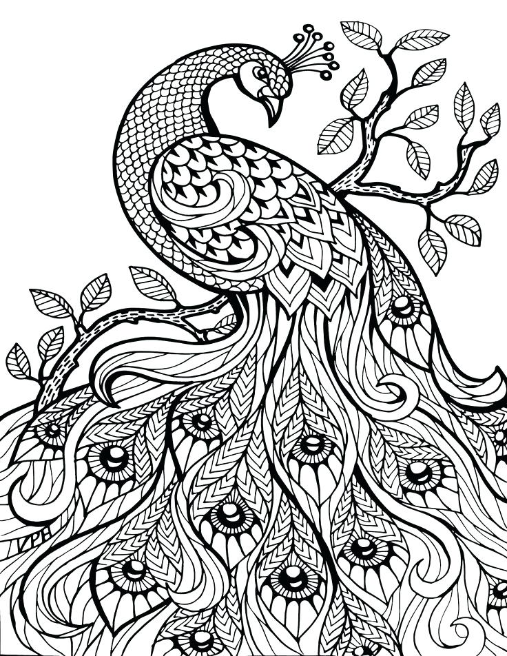736x952 Animal Coloring Pages For Adults Adult Coloring Pages Animal
