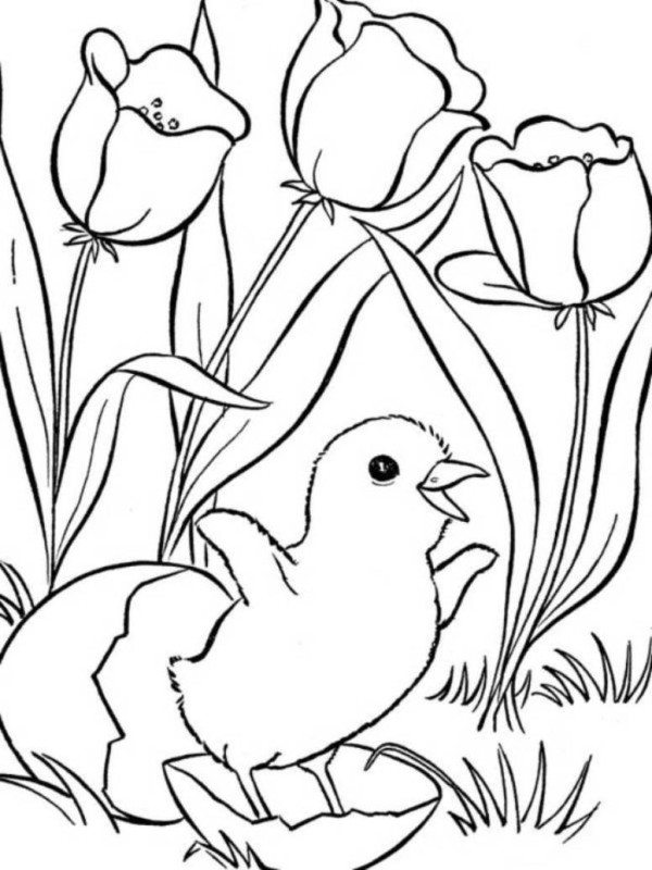 600x800 Cute Little Chick And Flower Spring Animal Coloring Pages